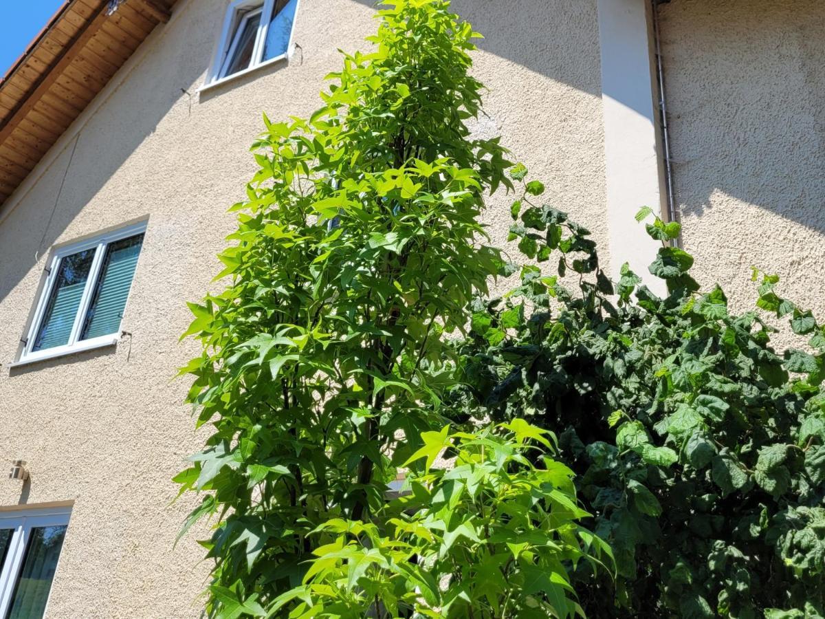 I24Rooms - Gaestezimmer Mit Eigenem Garten Legau Exterior foto